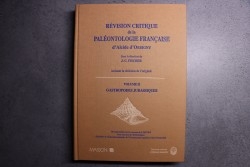 REVISION CRITIQUE de la PALEONTOLOGIE FRANCAISE d'Alcide d'Orbigny  VOL 2: GASTROPODES JURASSIQUES  -  J.C. Fischer, 1997