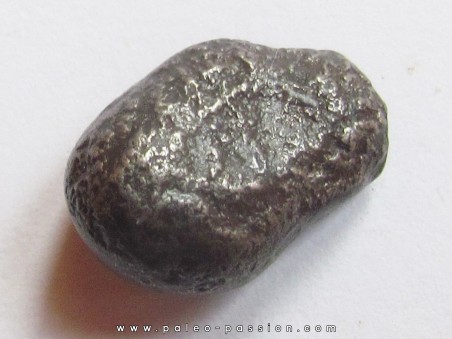 METEORITE SIDERITE SIKHOTE ALIN (14)