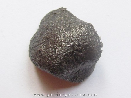 METEORITE SIDERITE SIKHOTE ALIN (19)