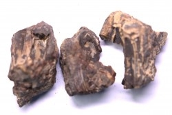 fragments de machoire de dinosaure edmontosaurus annectens - Hell Creek  Fmt - crétacé sup. - Dawson County, Montana, USA