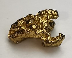 gold nugget  - yukon, ALASKA