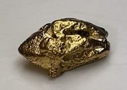 gold nugget  - yukon, ALASKA