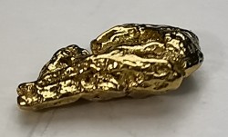 Pépite d'Or - Yukon, ALASKA