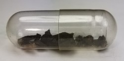 Meteorite Octahedrite OBC H6 - Dawn a, Texas