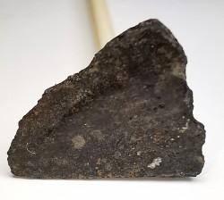 Meteorite Chondrite H3-7 - Dimmitt, Texas