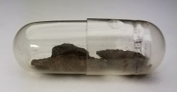 Météorite Chondrite H5 - Ingella Station, Australie