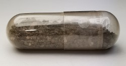 Meteorite Octahedrite - Canyon Diablo, Arizona