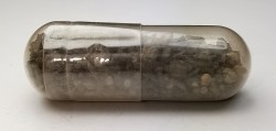 Meteorite Octahedrite - Canyon Diablo, Arizona