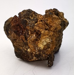 Météorite Sidérite IAB - Georgetown, Australie