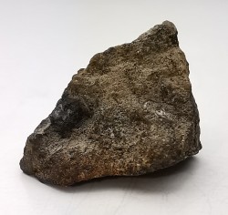 Météorite Pallasite - Fukang, Chine