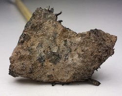 Météorite Octaédrite IAB-MG - Odessa, Texas