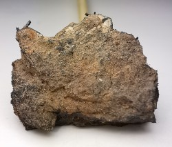 Météorite Octaédrite IAB-MG - Odessa, Texas