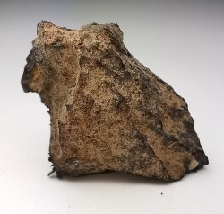 Météorite Octaédrite IAB-MG - Odessa, Texas