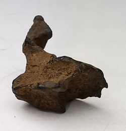 Météorite Pallasite - Imilac, Chili