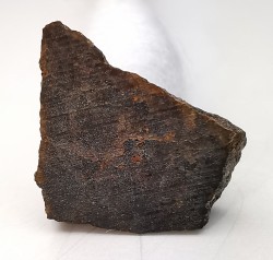 Météorite Brachinite - El Medano 395, Chili