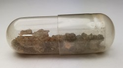 Meteorite Diogenite - Dhofar 700, Oman