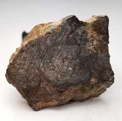 Meteorite Mesosiderite - Vaca Muerta, Chile