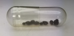 Météorite Chondrite L/LL6 - Holbrook, Arizona