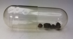 Météorite Chondrite L/LL6 - Holbrook, Arizona