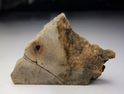 Météorite Enstatite - Djova 001, Algérie