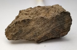 Météorite Chondrite L4 - Gold Basin, Arizona