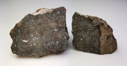 Météorite Chondrite L4 - Gold Basin, Arizona