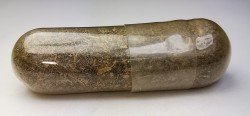 Météorite Chondrite Carbonée CV3 - Allende, Mexique