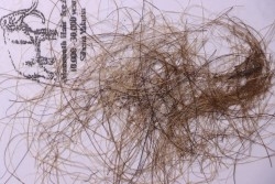 MAMMOTH HAIR from Siberia