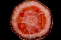 Rhodochrosite  Mina Capillitas, Andalgala, ARGENTINE