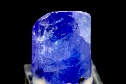 ZOISITE var TANZANITE - Merelani Hills, Arusha Province, TANZANIE