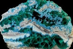 Belle dioptase et plancheite  sciée/poli  Mindouli, RD Congo