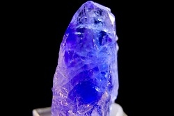 ZOISITE var TANZANITE - Merelani Hills, Arusha Province, TANZANIE