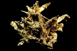 native gold  Olinghouse Mine, Washoe County, Nevada, USA