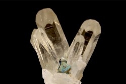 Tétraédrite sur Quartz, La Gardette Mine, FRANCE