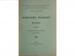 ECHINIDES fossiles du Maroc (n°27, 1933)