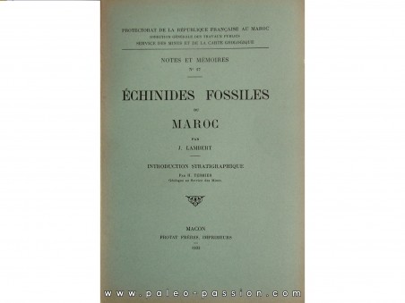ECHINIDES fossiles du Maroc (n°27, 1933)