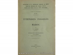ECHINIDES fossiles du Maroc (n°39, 1937)