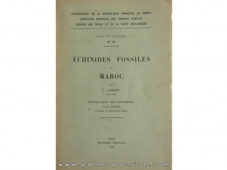 ECHINIDES fossiles du Maroc (n°39, 1937)