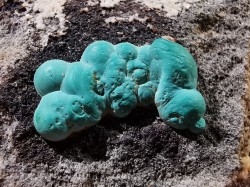 Malachite - Quartz  Bouque payrol, Camares,  Aveyron,  France