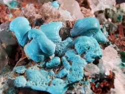Malachite - Quartz  Bouque payrol, Camares,  Aveyron,  France