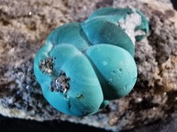 Malachite - Quartz  Bouque payrol, Camares,  Aveyron,  France