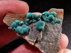 Malachite - Quartz  Bouque payrol, Camares,  Aveyron,  France