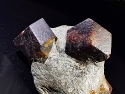 Garnet  Granatenwand, Gaisberg valley,  Sölden, Tyrol, Austria