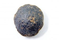Tectite: AUSTRALITE - Australie