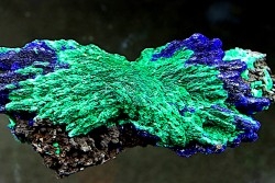 Azurite and malachite - Morocco