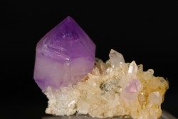 Amethyste - Jackson CrossRoads mine,  Georgie, USA