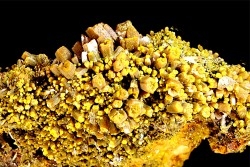 Pyromorphite "mustard touch"  Les Farges, FRANCE
