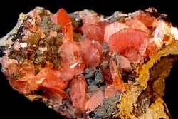 Rhodochrosite - Uchucchacua mine, Peru