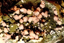 Rhodochrosite - Chihuahua, Mexico