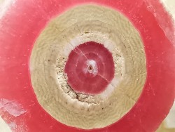 Rhodochrosite  Mina Capillitas, Andalgala, ARGENTINE
